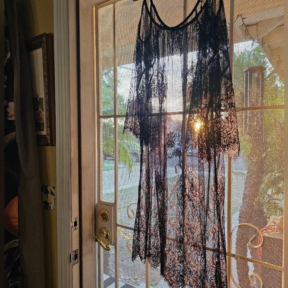 Lace Gown - Picture 3 of 5